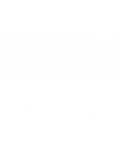 HP 10A toner LaserJet noir authentique