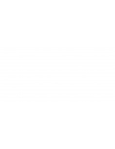 HP 726 cartouche d'encre DesignJet noir mat, 300 ml 2