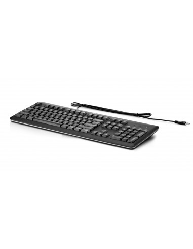 HP Clavier USB pour ordinateur