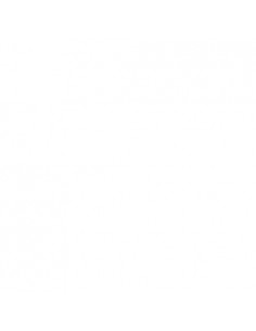 DELL A8711886 8Go DDR4 2400MHz ECC module de mémoire