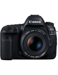 CANON EOS 5D MK IV + 24-105 F4L
